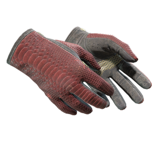 Gants de pilote Dragon Fists