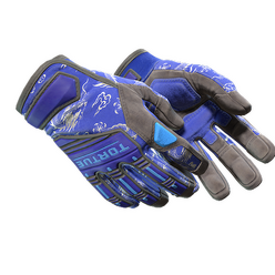 Gants de spécialiste Attrape-nuages