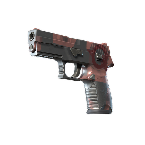 P250 Constructiviste